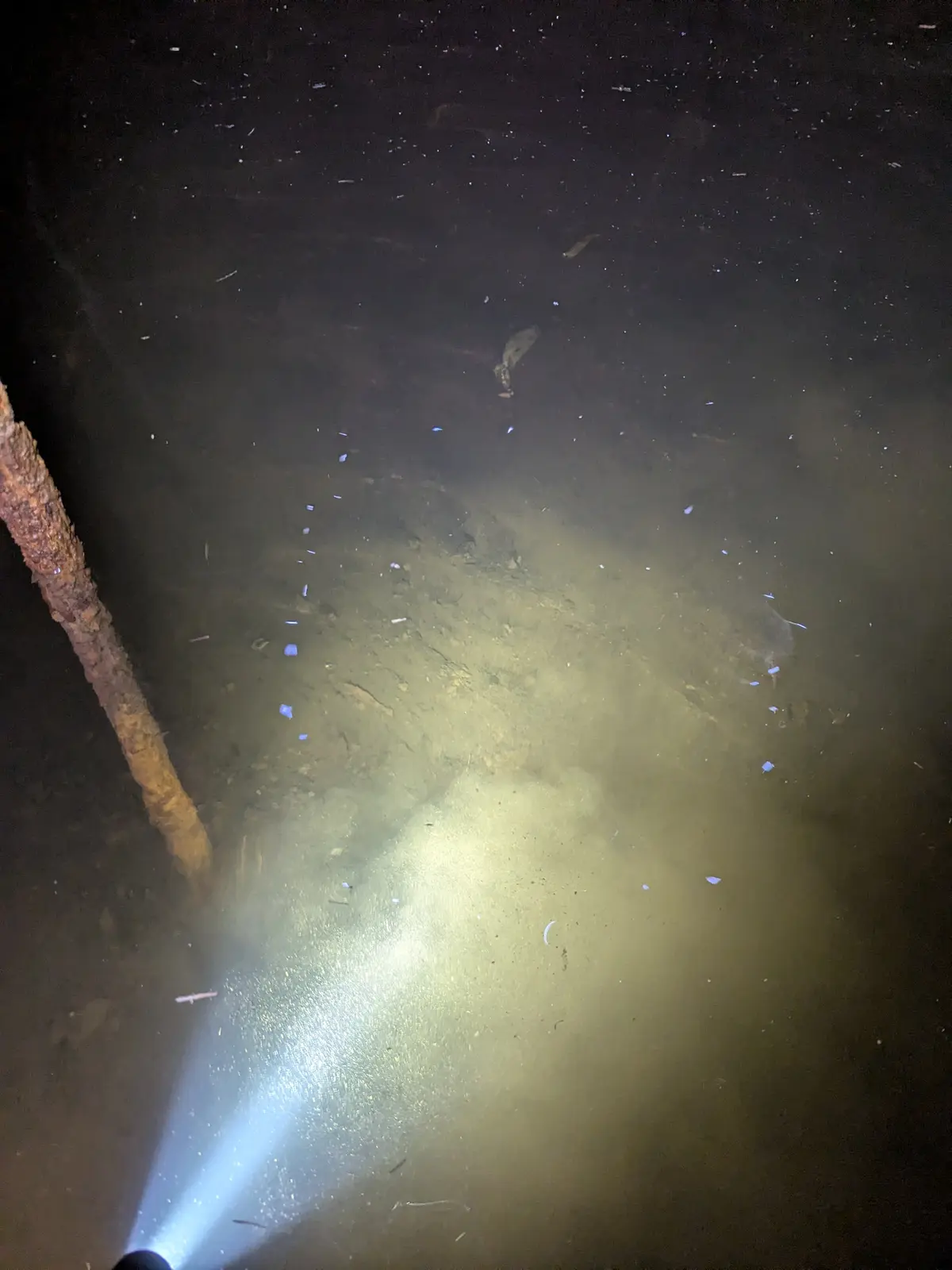 Murky, discoloured water in a concrete tank before cleaning