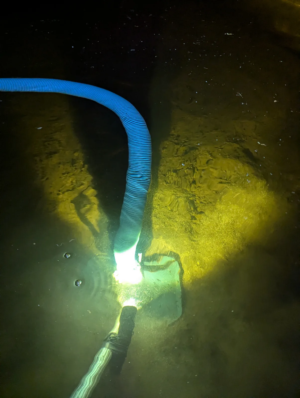 Murky water in a concrete tank before cleaning